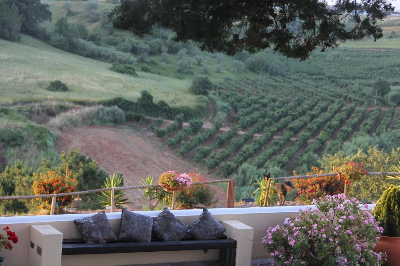 Terra Luso Proche De Montejunto Bed & Breakfast Cadaval Exterior photo